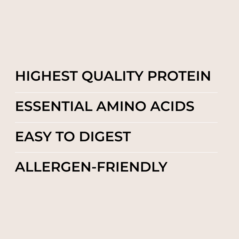 Limited Edition Peppermint Mocha Protein