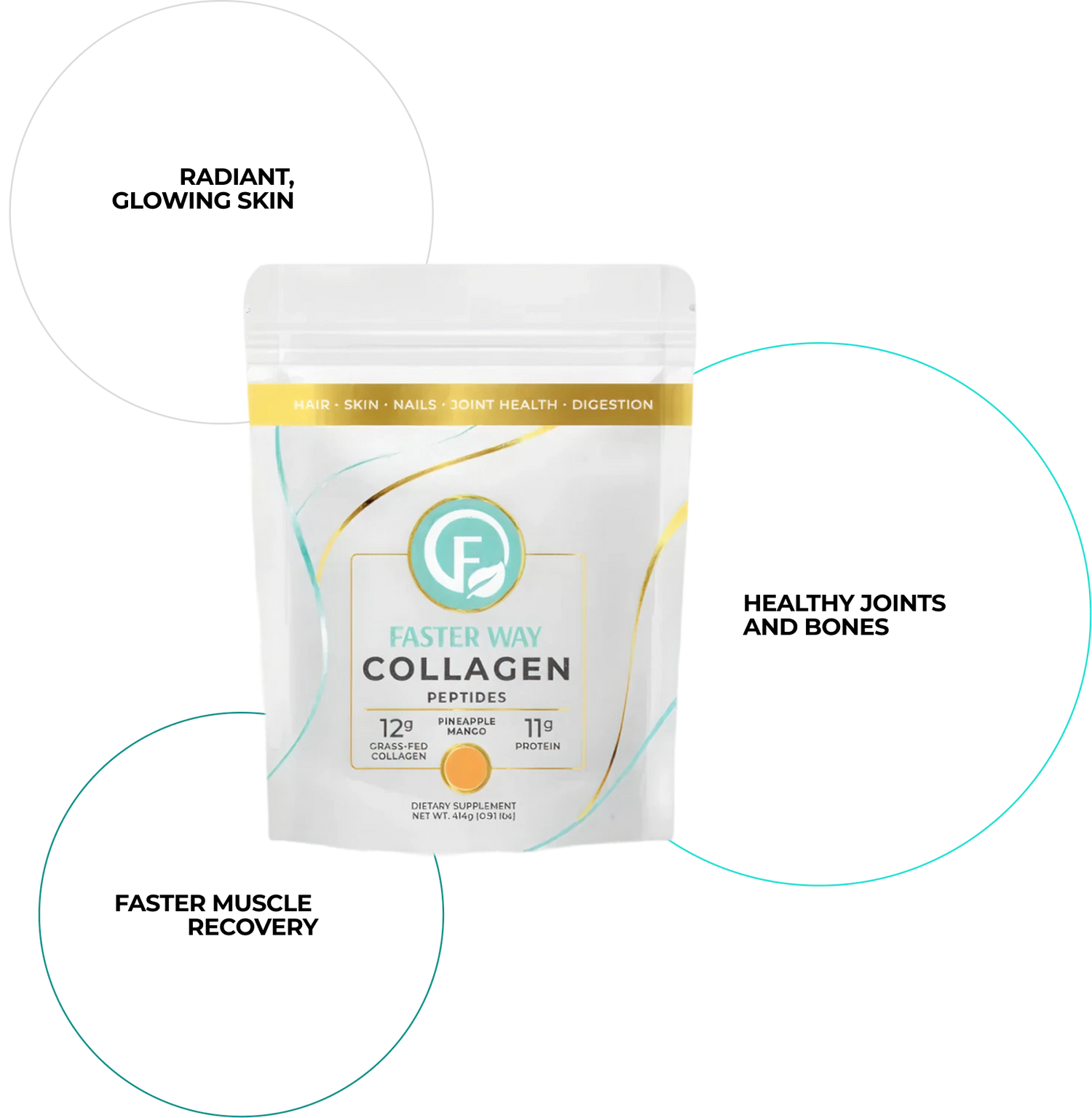 Collagen Circle Features