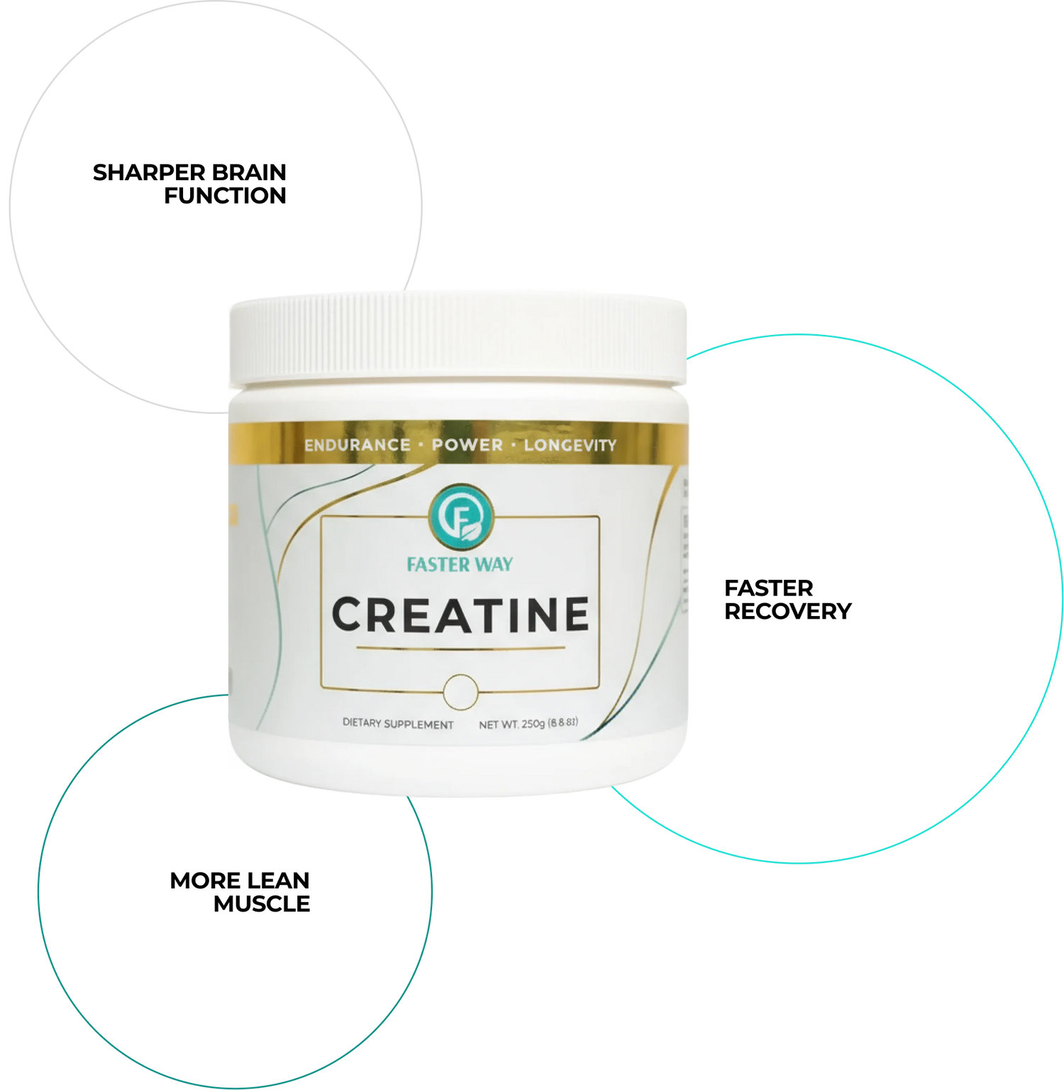 Creatine Circle Features